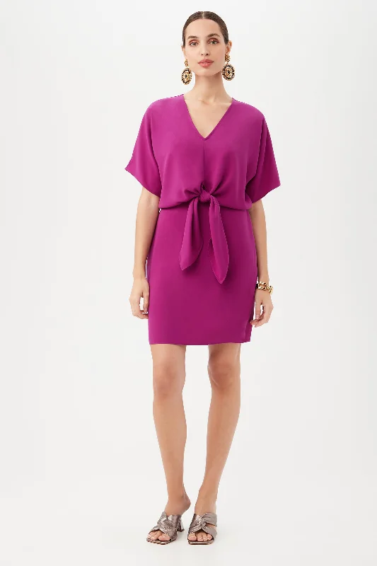 Mini dresses with mesh panels for a sexy and trendy lookArgan Dress